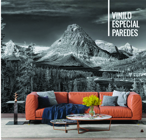 vinilo especial paredes